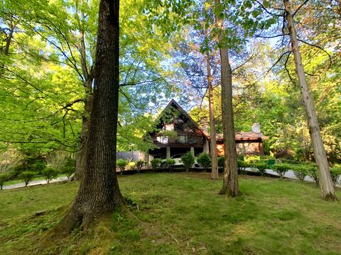 Hyde Park Luxury A-Frame - Pool/Spa/Chef Kitchen