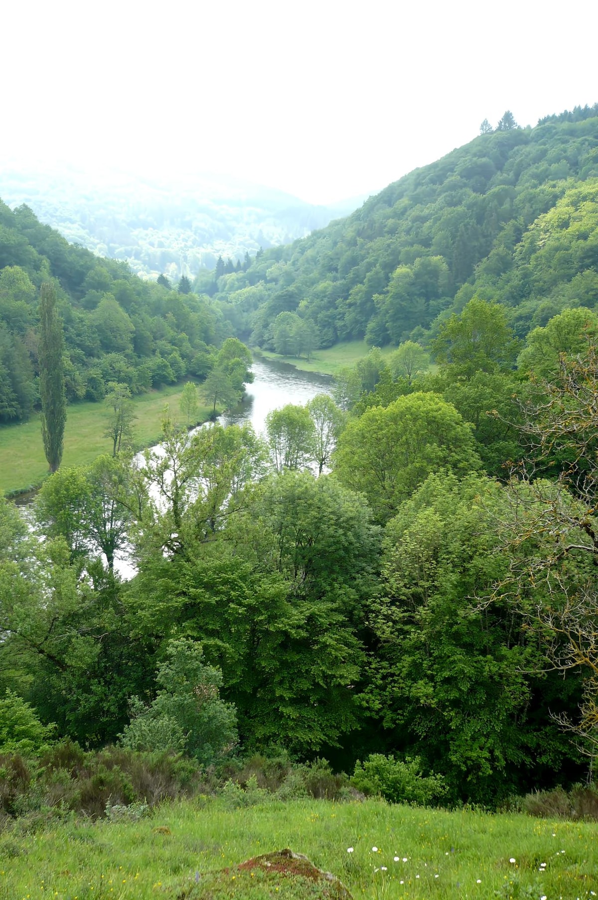 Propriété Airbnb réussie: The Heart of Marguerite in Menat à Puy De Dôme