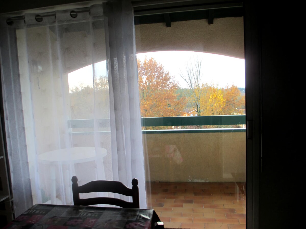 Top performing Airbnb: BARBOTAN LES THERMES, Lotus 2, T1bis furnished, in Cazaubon