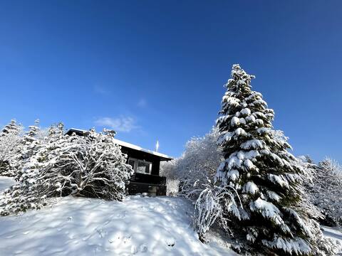 Black+Beauty Design Cabin in Willingen / Sauerland