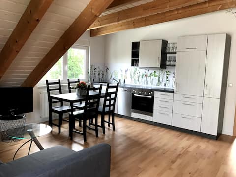 Bright quiet apartment close to downtown