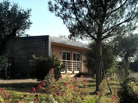 Le Lodge aux Etoiles near Cordes sur Ciel