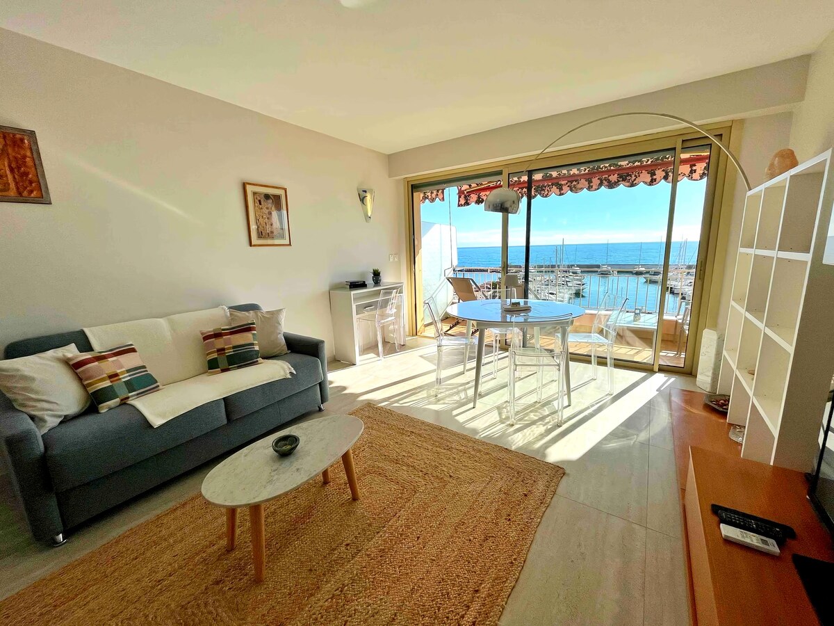 Propriété Airbnb réussie: Seafront : Wonderful T3/ High floor / Free Parking à Menton