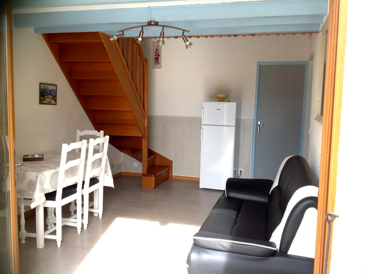 Airbnb performant: Nice villa, comfort, quiet, air conditioning, garage, garden à Saint Cyprien