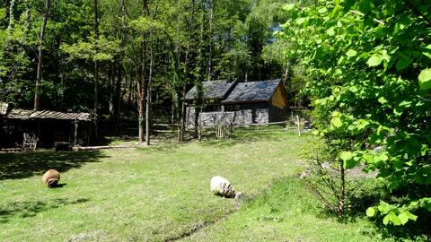 The little Refuge