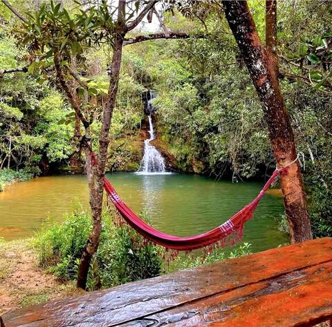 Cottage Catuaí Vermelho