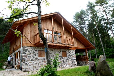 Cozy forest house next to Maso Plaz