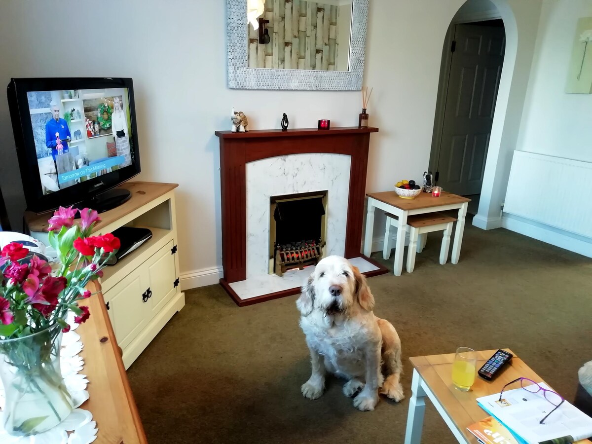 Top Airbnb: Cosy beach retreat with massage/reiki on site. in Bacton