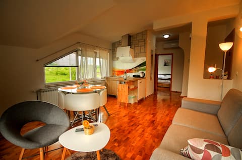 Superior Apartment Olga