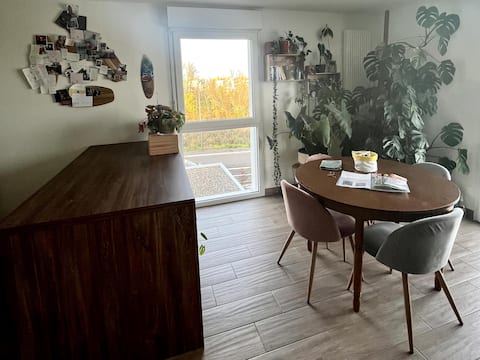 Indoor greenery in Cernay