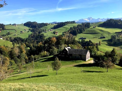 Pure nature with Säntis view