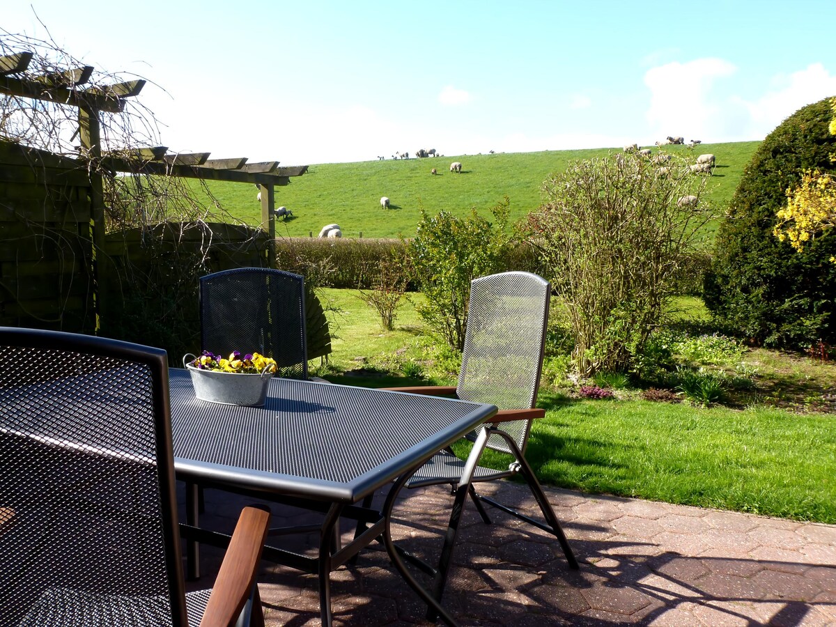 Top performing Airbnb: Lütt Hus am Süderdiek - Pearl directly on the dyke in Norden