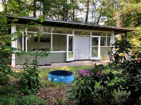 Forest bungalow with lots of privacy.