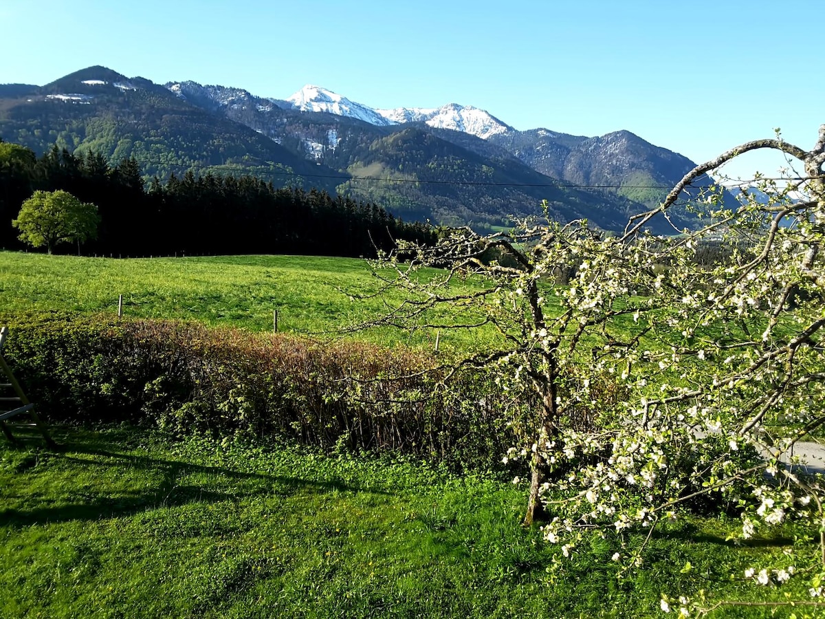 Popular Airbnb listing: Panoramic apartment in Traunstein