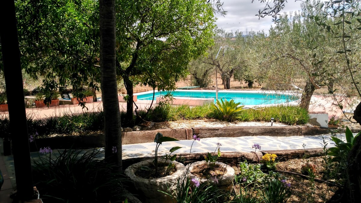 Erfolgreiche Airbnb-Immobilie: Country house "El Olivar de Concha" -Caminito del Rey in Álora