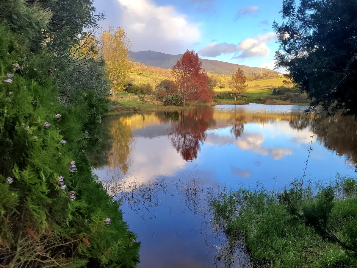 Top Airbnb: Complete peace of mind in Candeleda