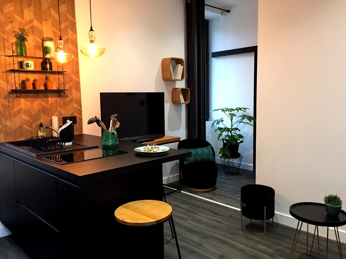 Airbnb performant: The 22 - 35 m2 house with garden in Roanne à Roanne