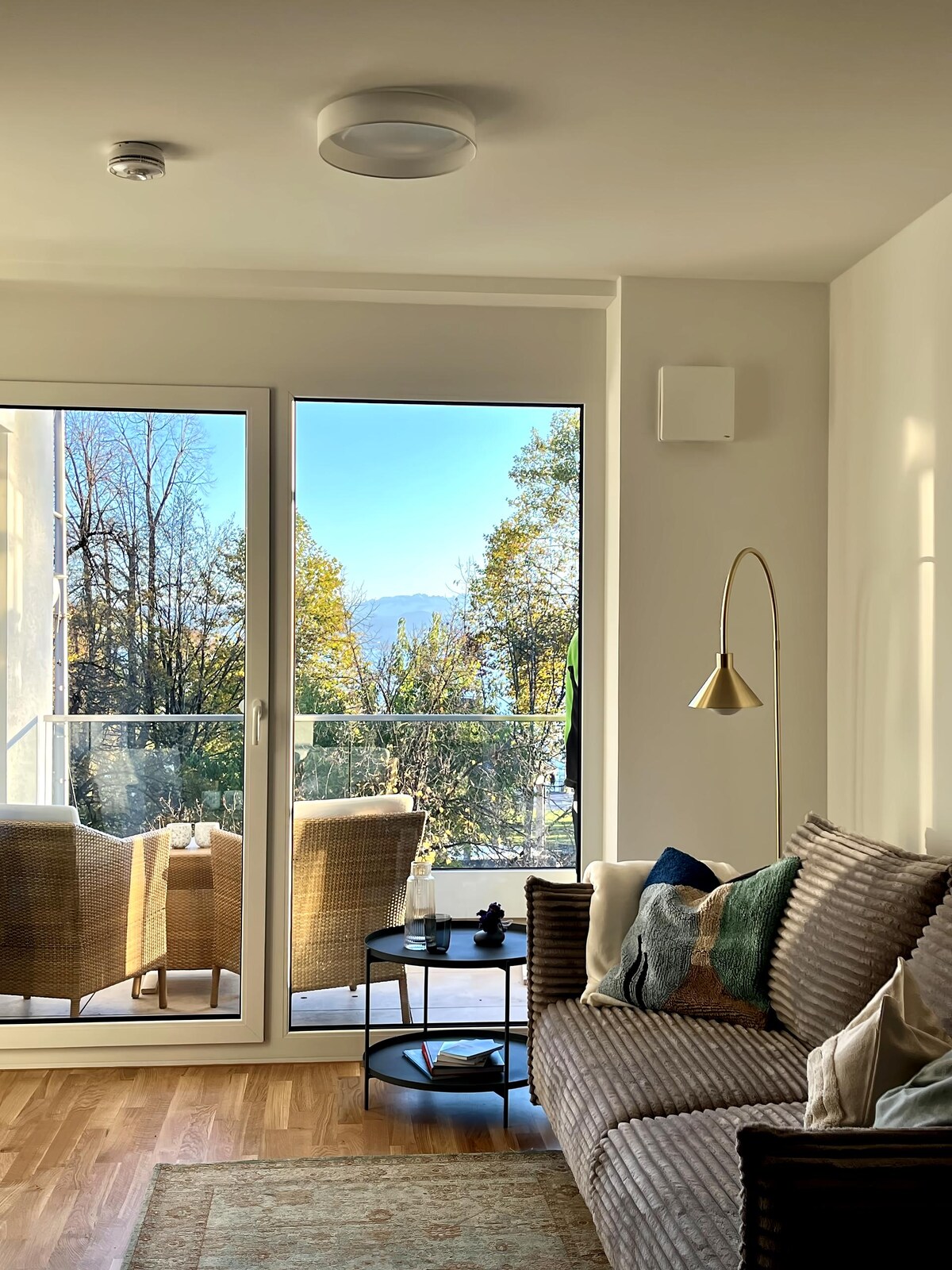 Top Airbnb: City & Lake - at the waterfront, free parking, AC in Friedrichshafen