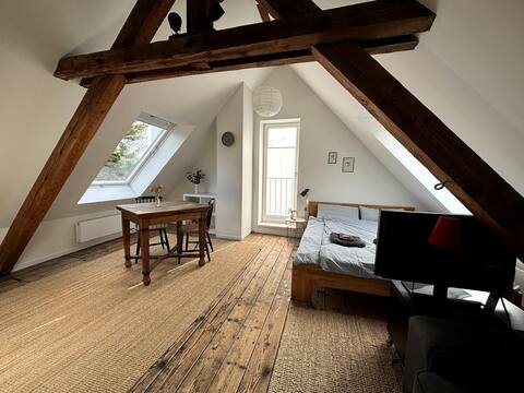 Cozy apartment on the Stadtgarten / Recklinghausen