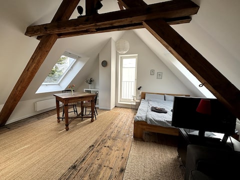 Cozy apartment on the Stadtgarten / Recklinghausen