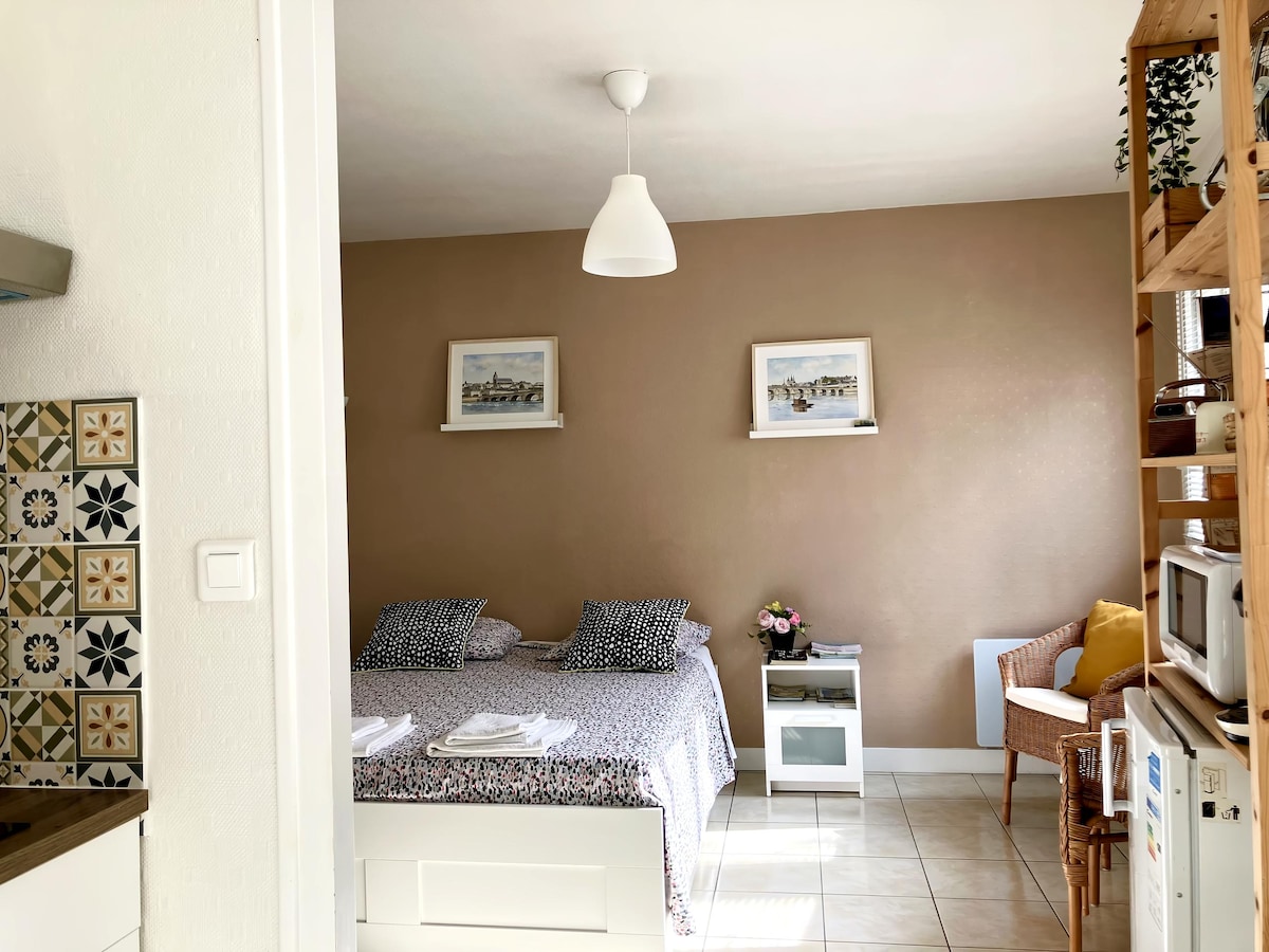 Popular Airbnb listing: Pleasant and functional studio in the Château district. in Blois