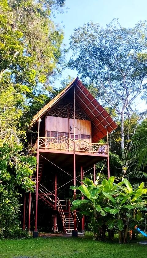 Rainforest Tree House with Hot Springs