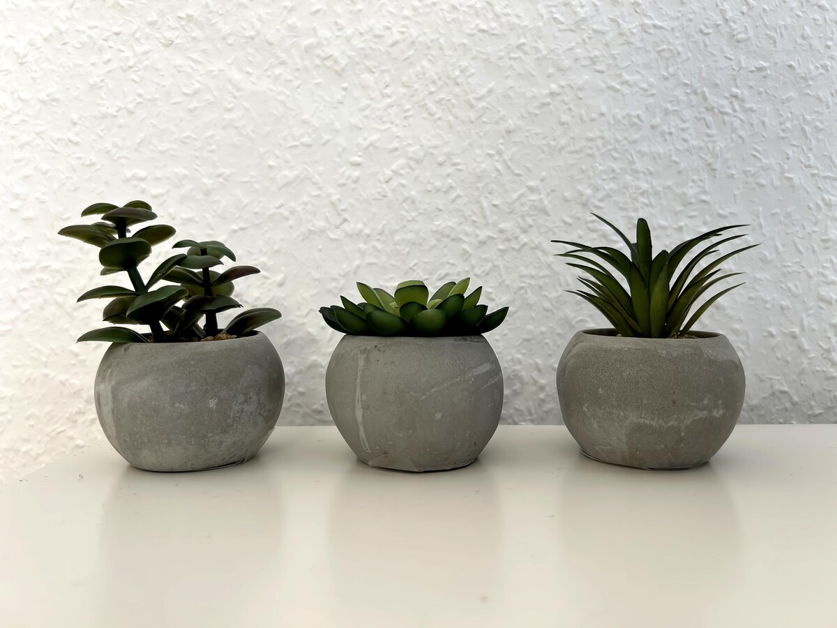 Top performing Airbnb: 50m² / Own apartment in Limbach-O., 1st floor in Zwickau