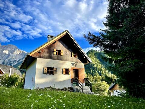 The cozy mountain chalet