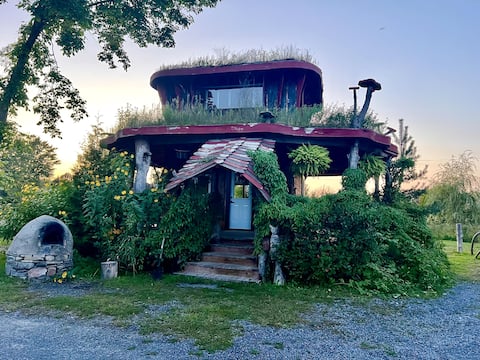The Mushroom Cabin ~ it’s a real trip