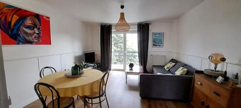 Apartment T3 center of Blagnac 2nd floor with balcony