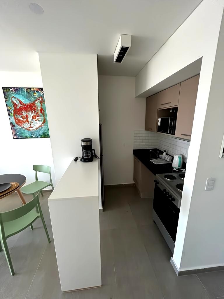 Successful Airbnb property: Modern apartment in Villa Devoto. in Villa Devoto