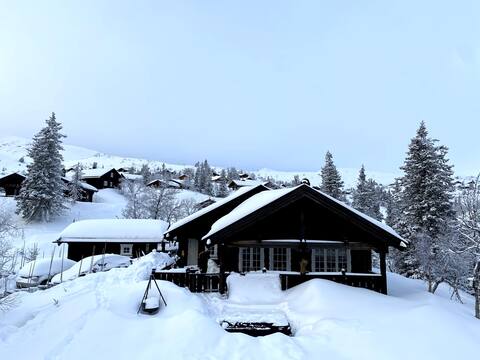 Great cottage on Vegglifjell