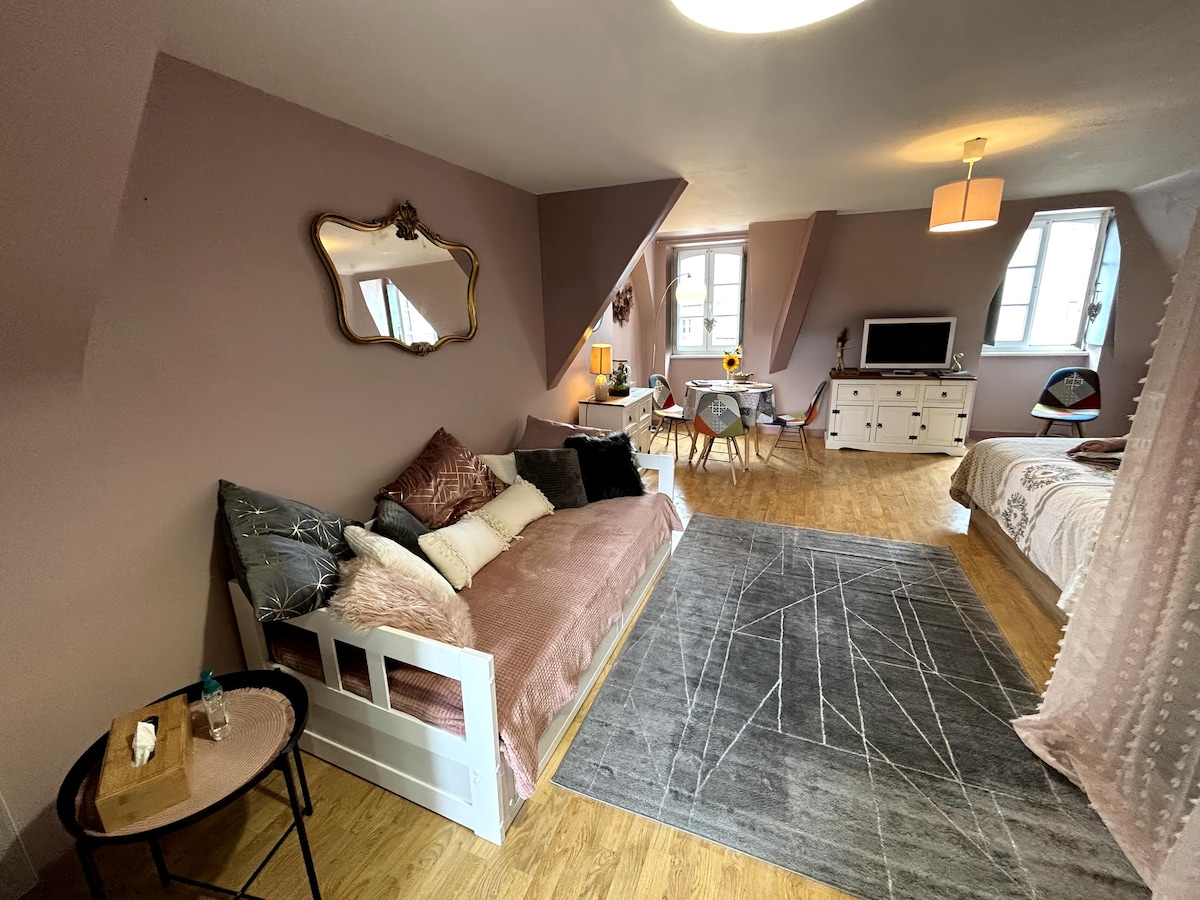 Airbnb performant: Le Grenier apartment in the historic center à Dinan