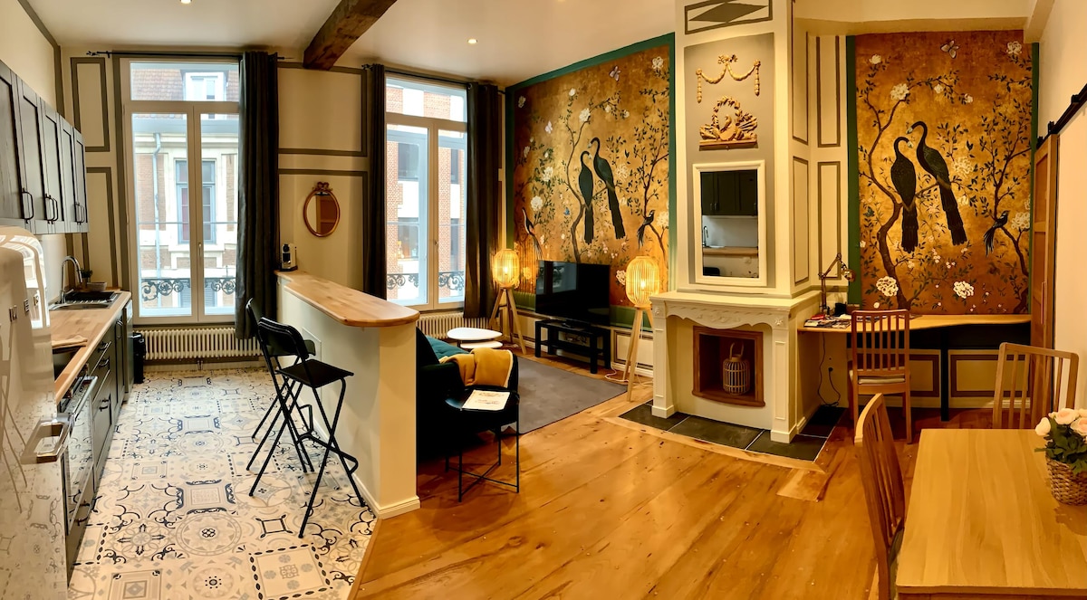 Top Airbnb: Beautiful 2-room old Lille in Vieux Lille
