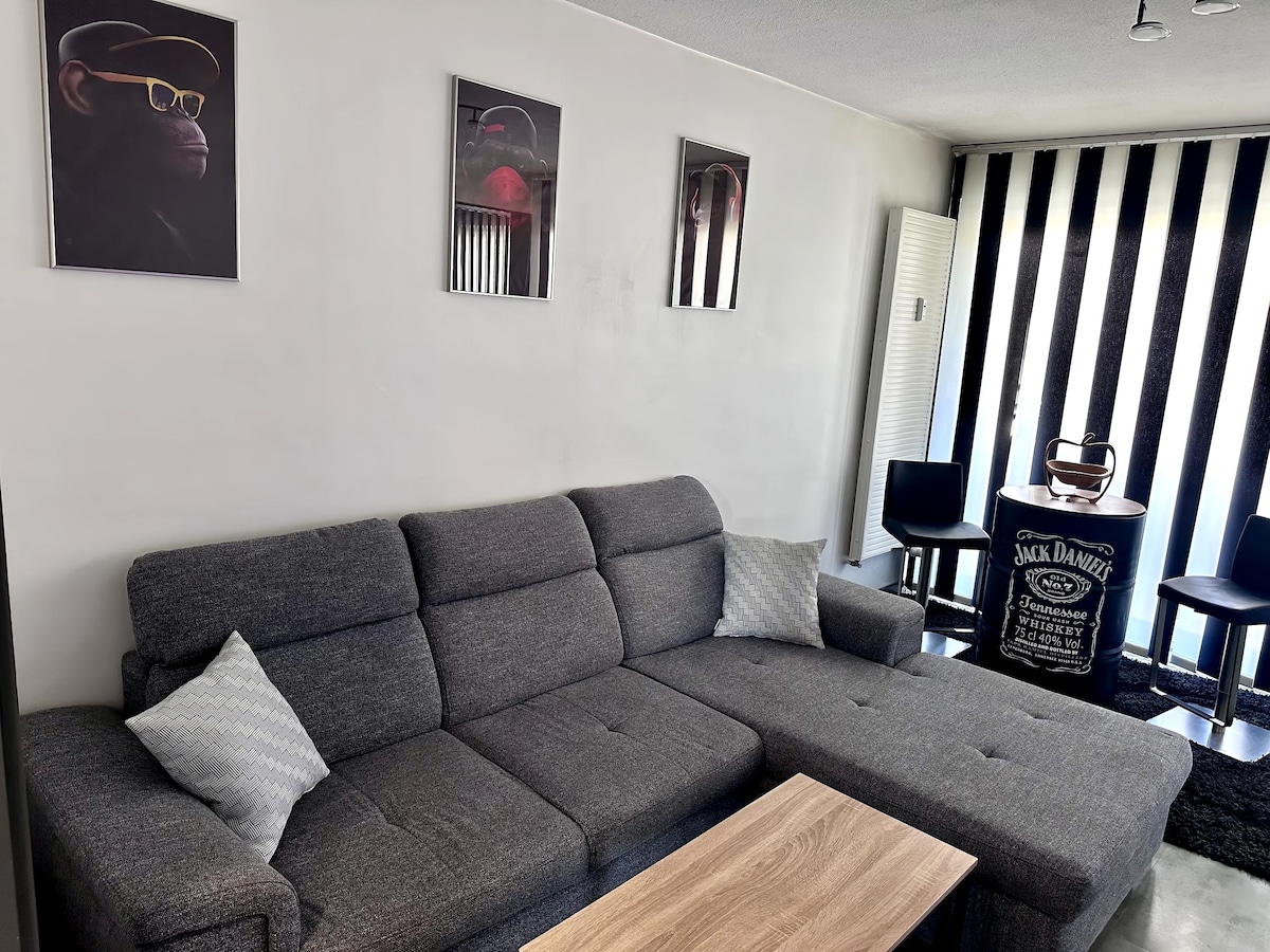 Proprietà Airbnb di successo: Beautiful bright 85 m2 apartment with balcony a Haguenau