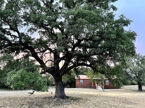 Getaway Cabin In Kempner