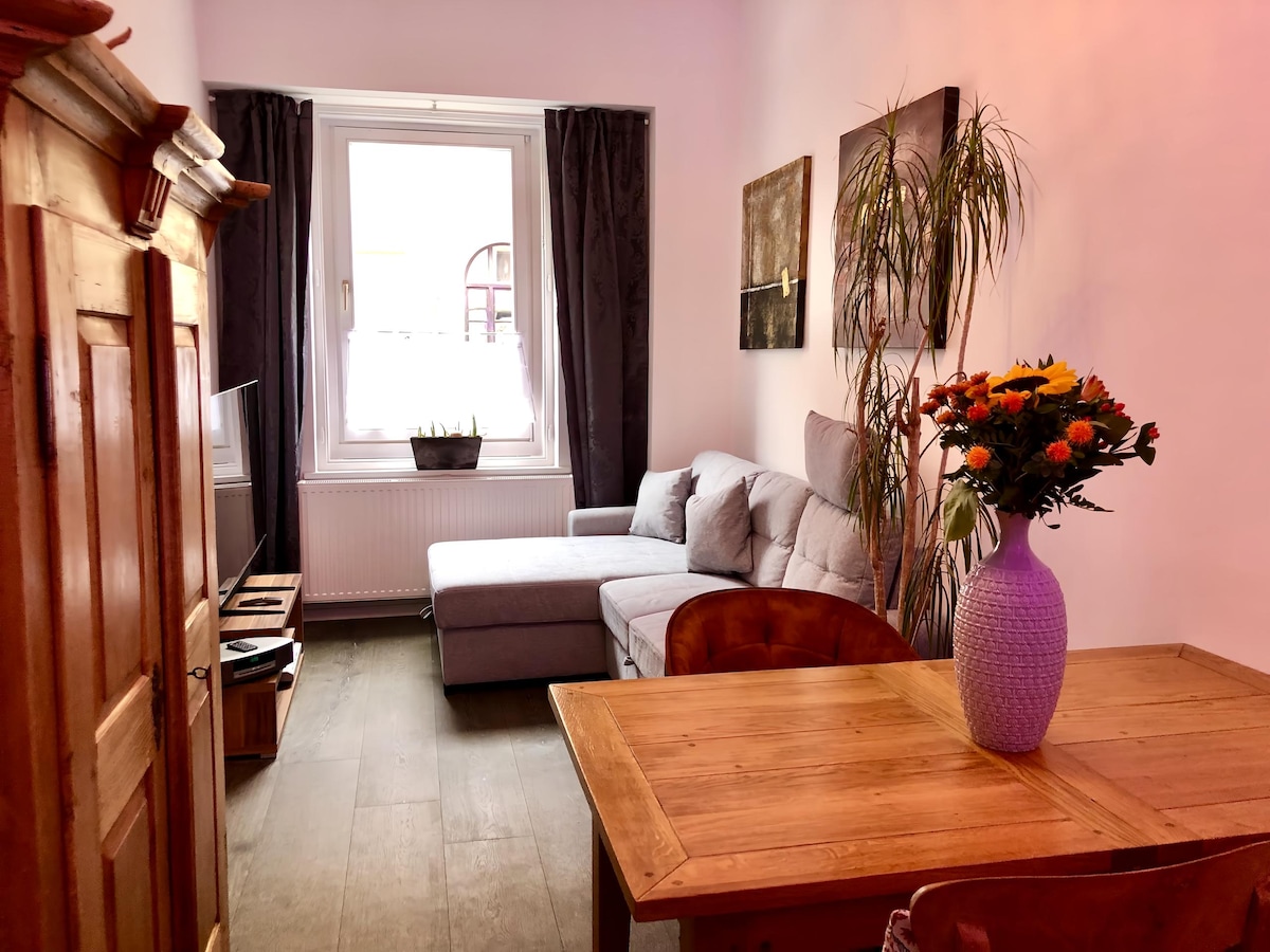 Popular Airbnb listing: High-quality, completely renovated apartment for 2-4 people. in Untersendling