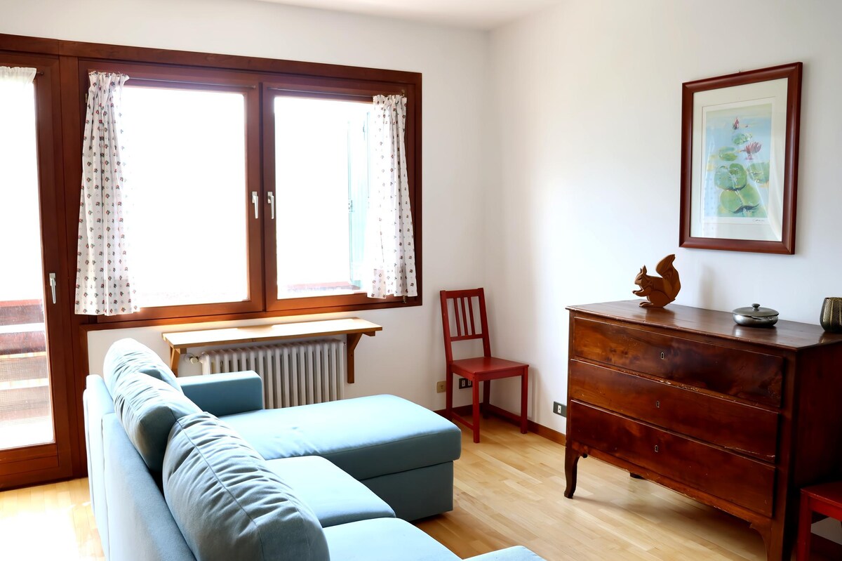 Successful Airbnb property: Tai di Cadore Apartment in Pieve Di Cadore