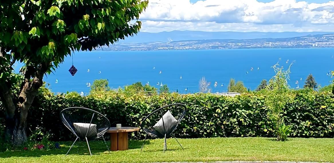 Airbnb con mejor rendimiento: Studio with exceptional views of Lake Geneva en évian Les Bains