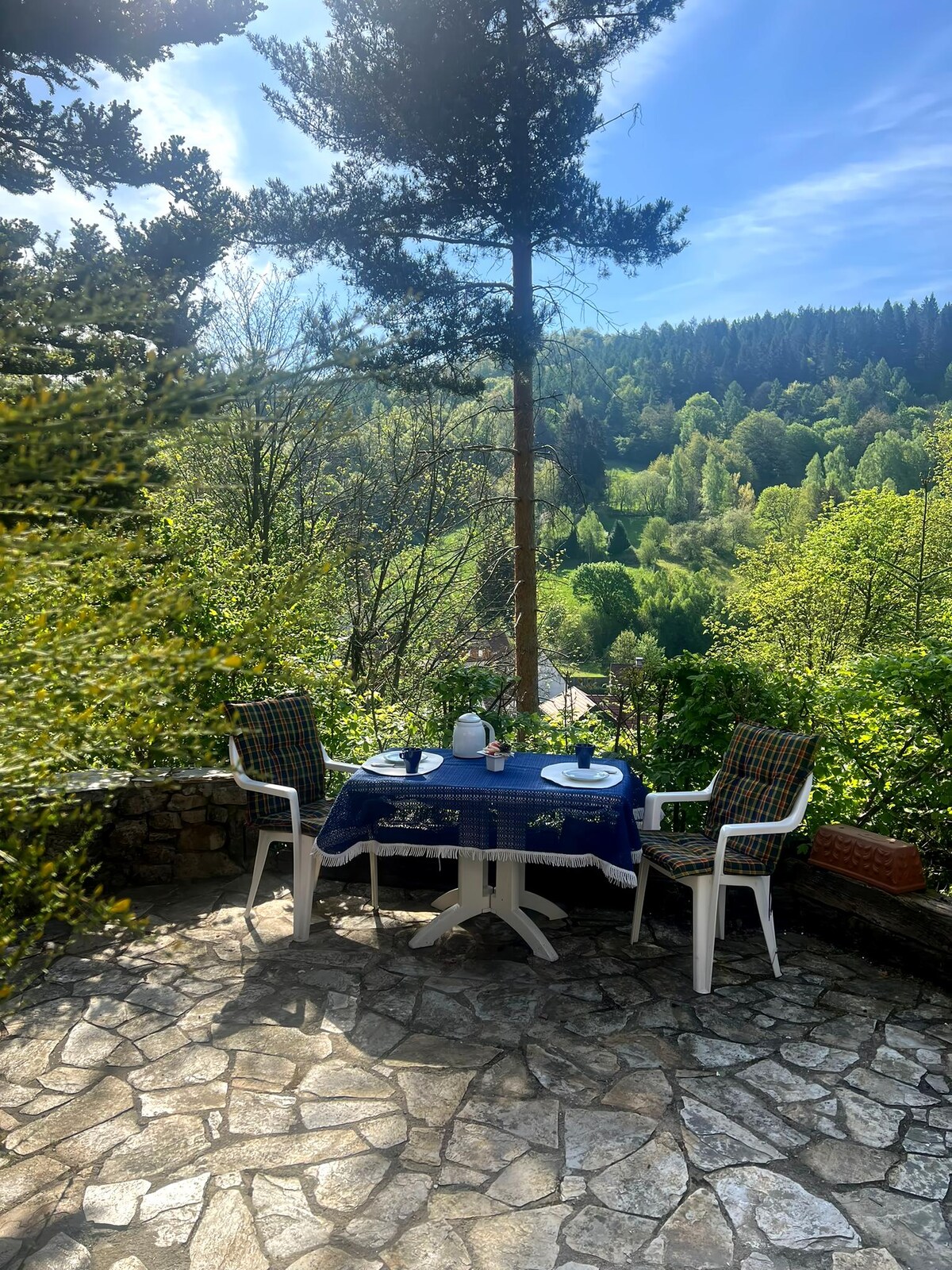 Popular Airbnb listing: Apartment with panoramic mountain views in Walkenried