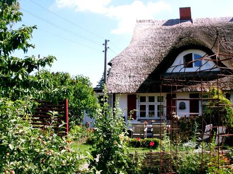 Little Cottage am Saaler Bodden