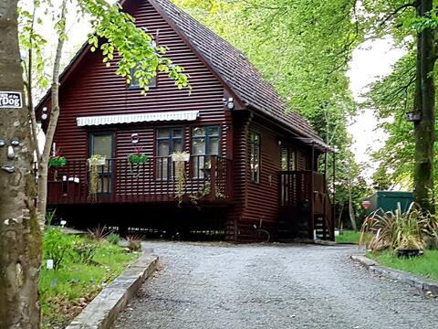 Cabin In The Woods On The Lake