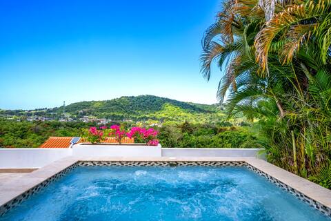 Amazing deluxe house 10min from El Yunque!