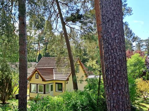 Ferienhaus Waldmeister
