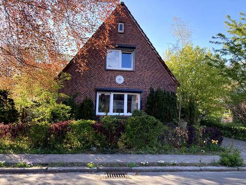 Cycling on the dyke - Elbe/ NOK