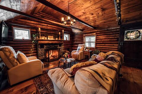 The Conscious Cabin
