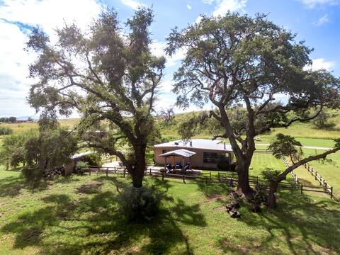 Under the Oaks
