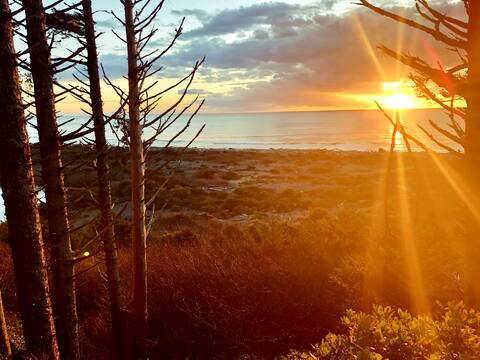 Oceanfront Olympic Cabin— Secluded & Vast  (2BR)