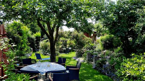 Apartment in house Reni: between Country, nature and city