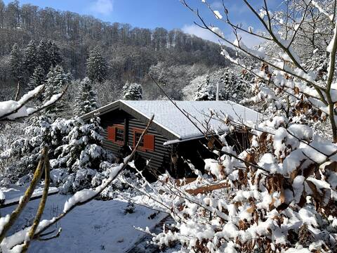Woody Willingen - The wooden cabin in a beautiful nature